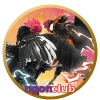 ngonclub